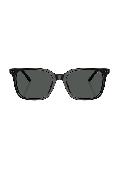 Square Sunglasses
