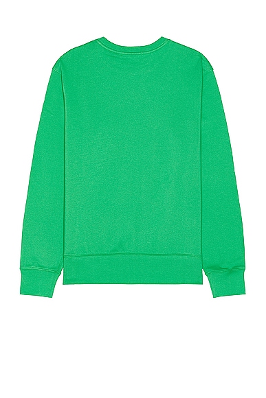 Shop Polo Ralph Lauren Bears Sweater In Sp24 Tiller Green Hrtg Bear