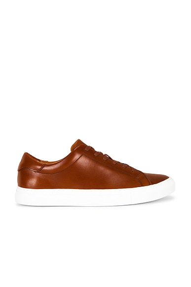Polo Ralph Lauren Jermain II Leather Low Top Sneaker in Pale Russet