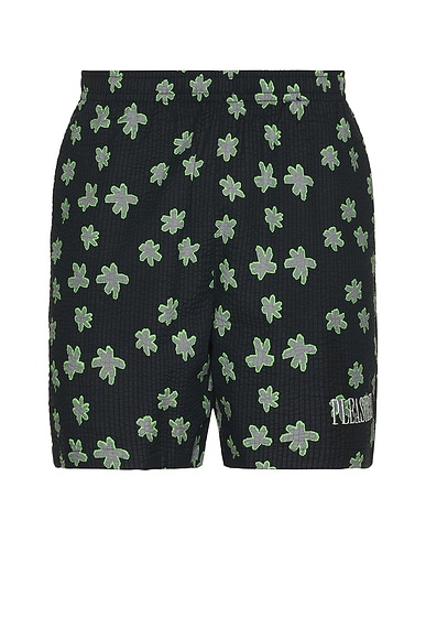 Floral Seersucker Shorts