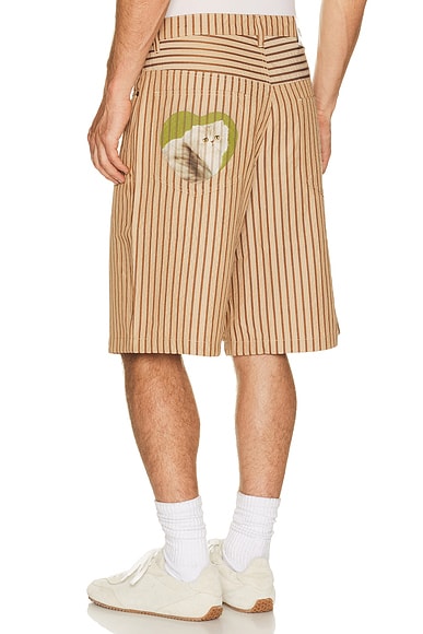 Cat Mirror Shorts
