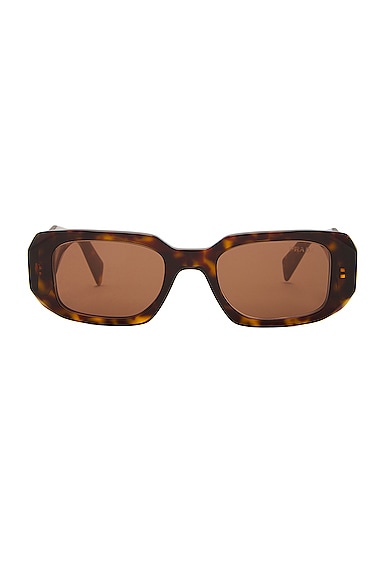 Prada Oval Frame Sunglasses In Brown