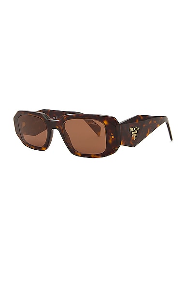 Shop Prada Oval Frame Sunglasses In Brown