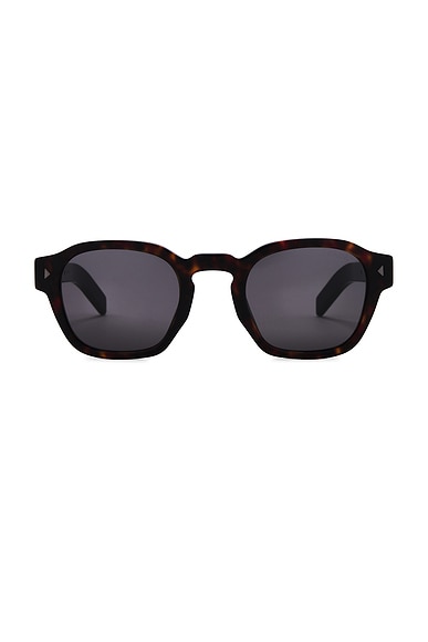 Prada Round Frame Sunglasses in Brown Tortoise