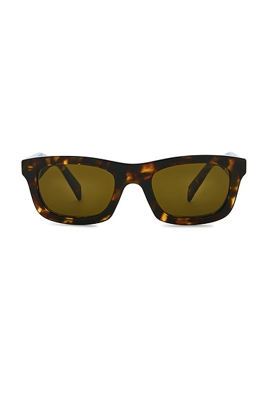 Rectangular Sunglasses