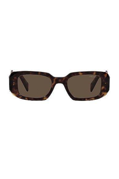 Prada Scultoreo Narrow Sunglasses in Brown