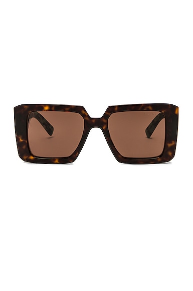 Prada Square Sunglasses in Brown