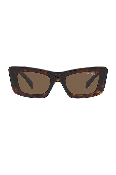 Prada Cat Eye Sunglasses in Brown