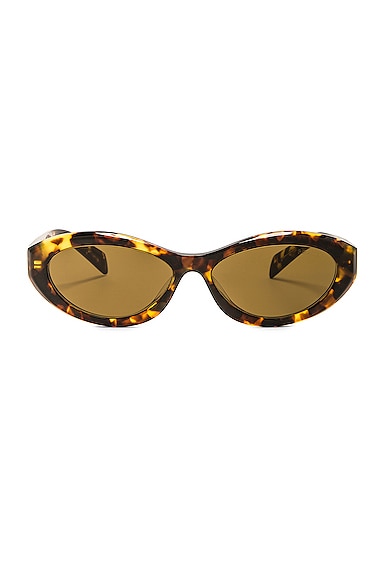 Prada Oval Sunglasses In Brown