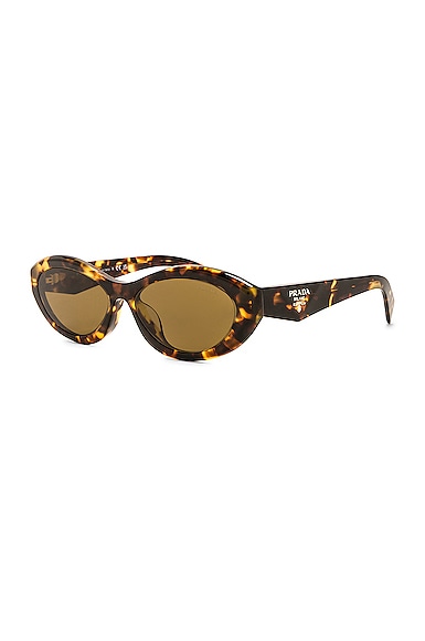 Shop Prada Oval Sunglasses In Brown