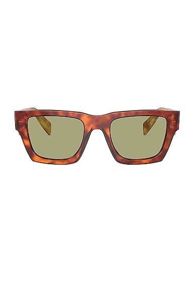 Prada Square Sunglasses in Amber Havana & Green