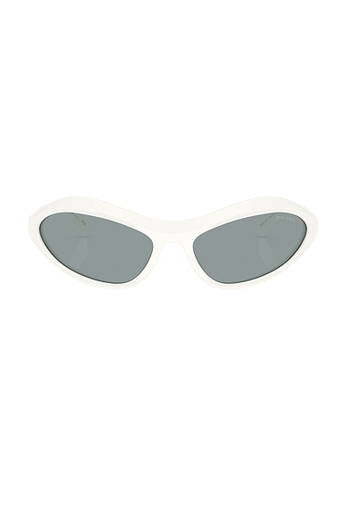 Oval Sunglasses