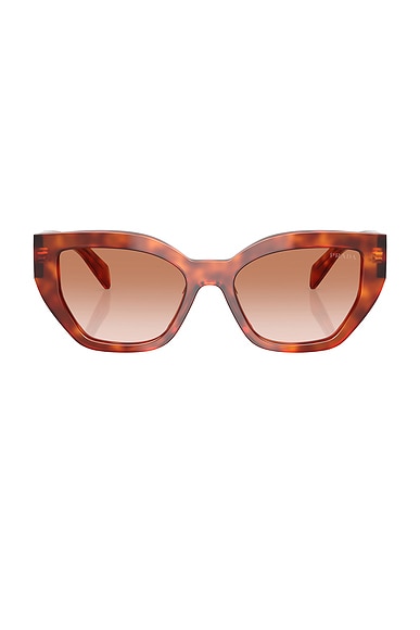 Prada Cat Eye Sunglasses in Cognac Tortoise