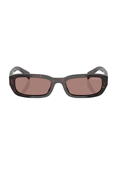 Prada Narrow Sunglasses in Root Tortoise