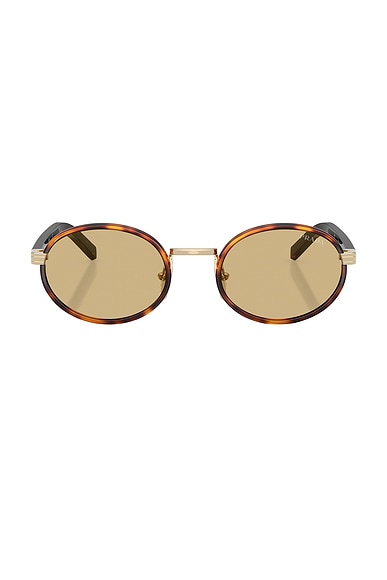 Prada Round Sunglasses in Root Tortoise | FWRD