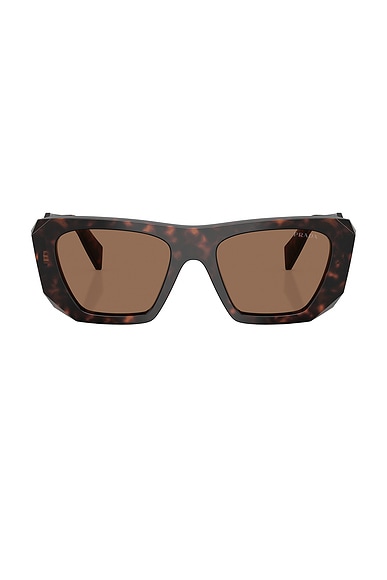 Square Sunglasses