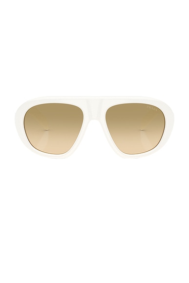 Shield Sunglasses