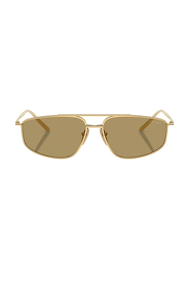Aviator Sunglasses