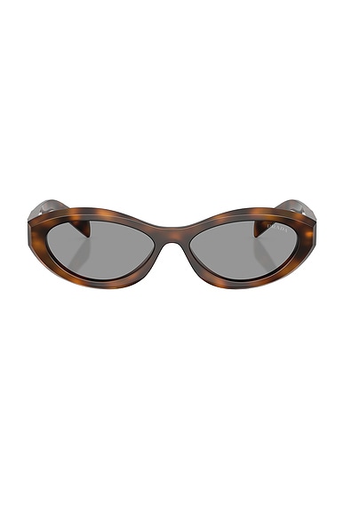 Prada Cat Eye Sunglasses in Juniper Tortoise