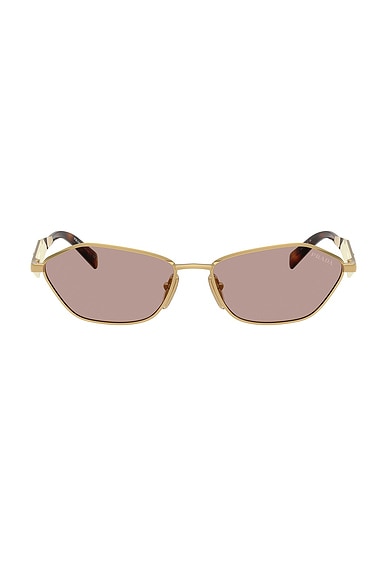 Irregular Sunglasses