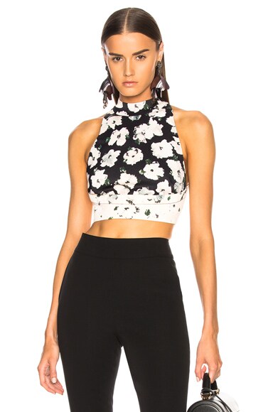 Printed Sleeveless Crop Top