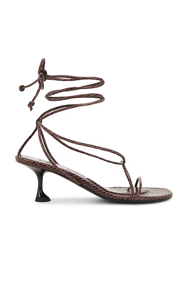 Proenza Schouler Tee Sandal in Chocolate