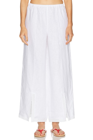 Alfie Pant