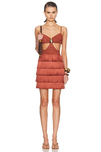 Amethyst Fringe Dress