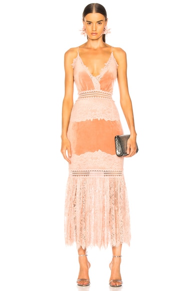Lace & Velvet Dress