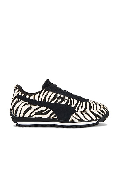 Easy Rider Zebra Sneaker