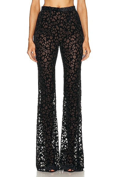 PRISCAVera Fitted Flared Pant in Black