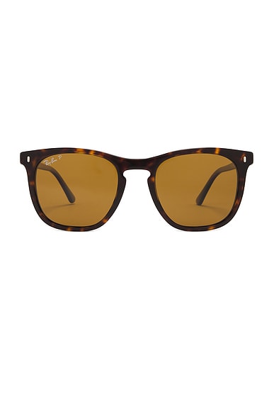 Ray-Ban Polarized Sunglasses in Brown