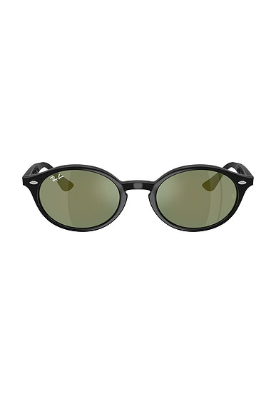 Oval Sunglasses