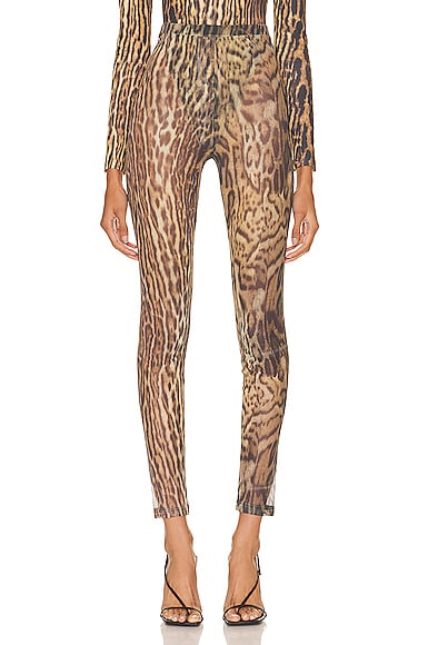 Leopard Legging