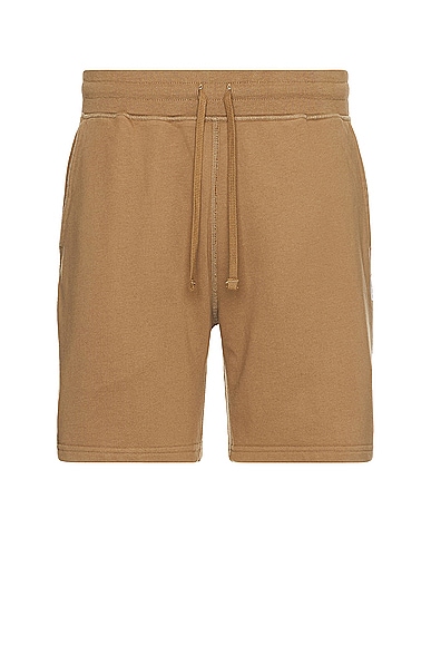 Reigning Champ Midweight Terry Sweatshort 6 In Clary