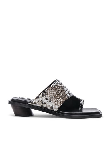 Western Sandal