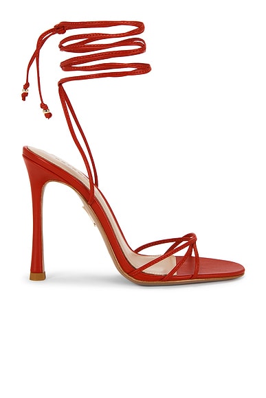 Lucia Heel