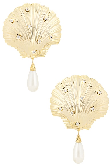 Shell Earrings