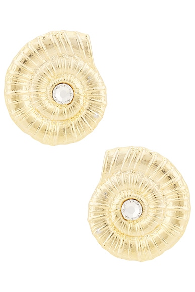 Conch Shell Earrings