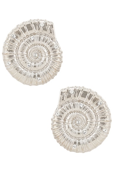 Conch Shell Earrings