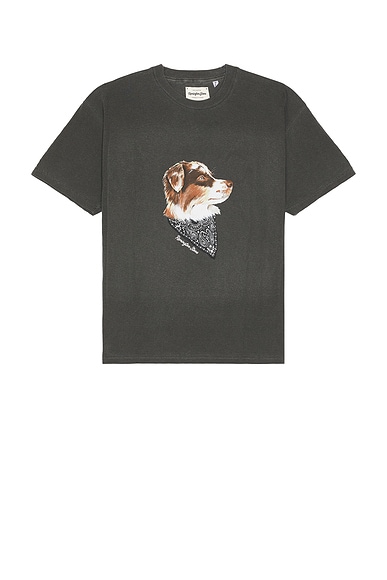 Remington Stone Theodore Tee in Pepper