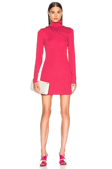 Long Sleeve Turtleneck Mini Dress