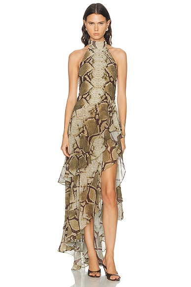 Nevae Chiffon Dress
