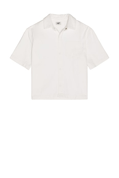 Short Sleeve Button Down