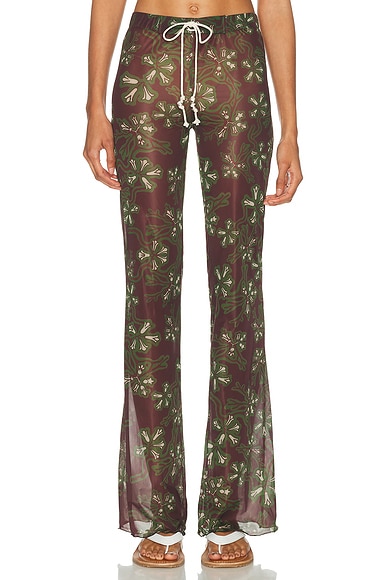 Dania Pant