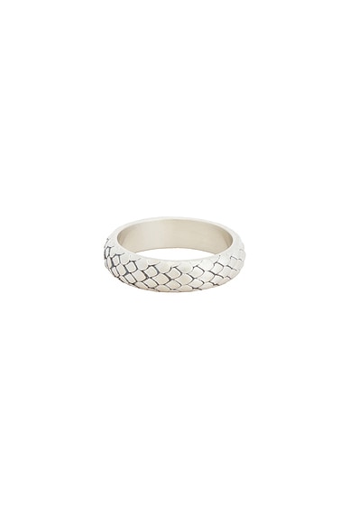 Scale Ring