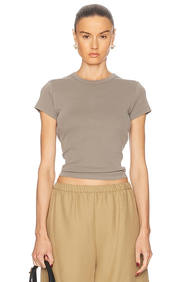 Organic Cotton Baby Tee