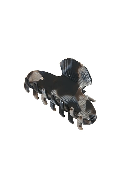 Small Fan Shell Hair Claw