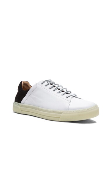 Juch sneakers hotsell
