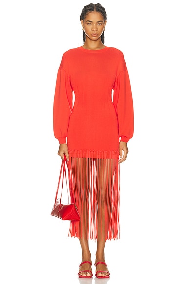 Wallis Knit Fringe Dress